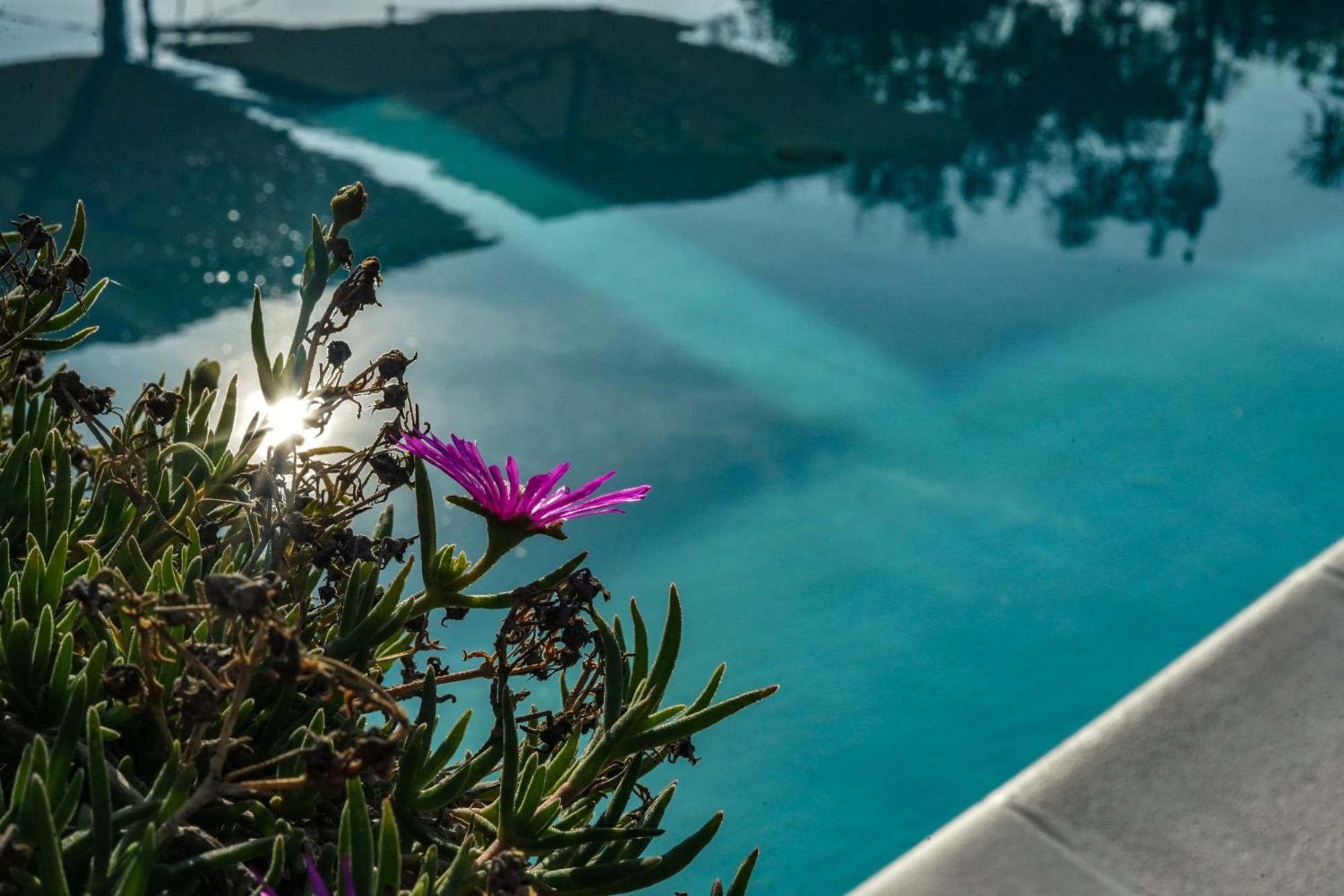 Hotel Bellavista San Bartolomeo Al Mare Exterior photo